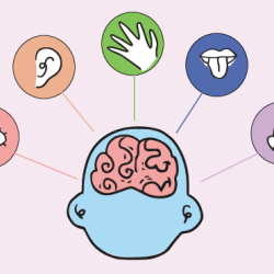 Sensory Stories: Crafting Vivid Narratives That Engage All Five Senses By Navya Sharma